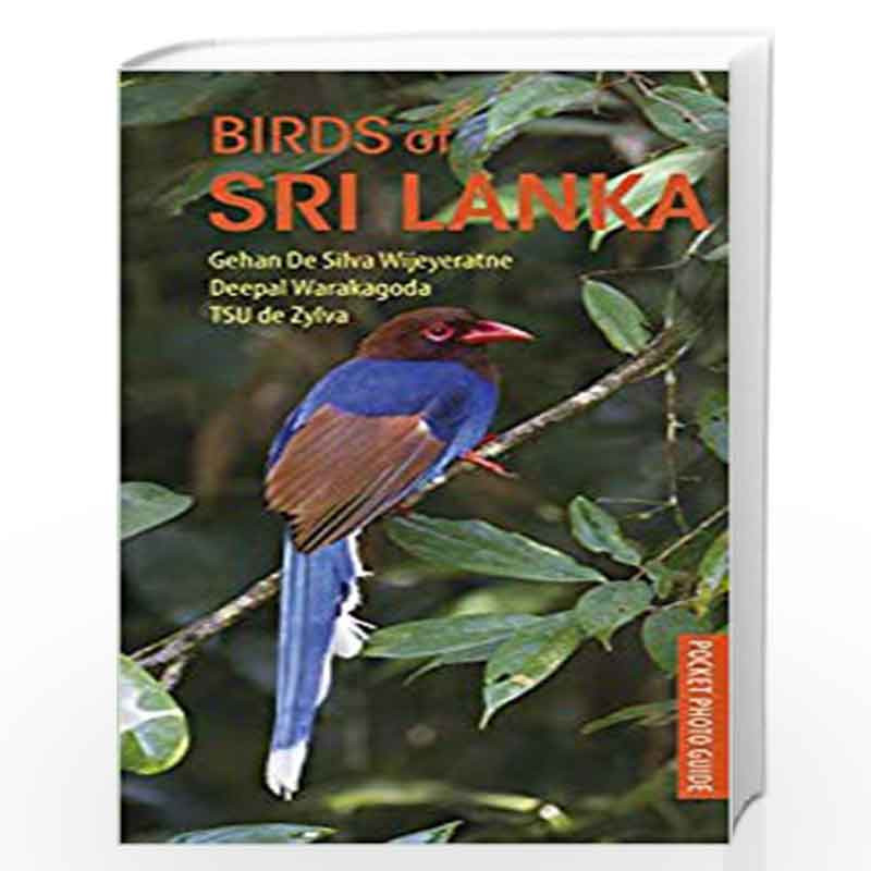 Birds Of Sri Lanka Pocket Photo Guides By Gehan De Silva Wijeyeratne And Deepal Warakagoda Buy 