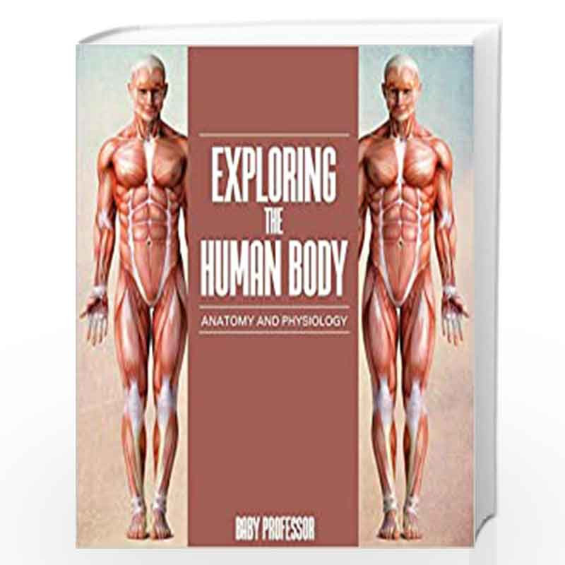 Exploring The Human Body Anatomy And Physiology By Baby Professor Buy Online Exploring The Human Body Anatomy And Physiology Book At Best Prices In India Madrasshoppe Com