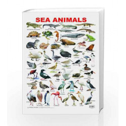 Sea Animal by Dreamland Publications Book-9788184513578