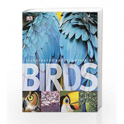 The Illustrated Encyclopedia Of Birds Dk - 