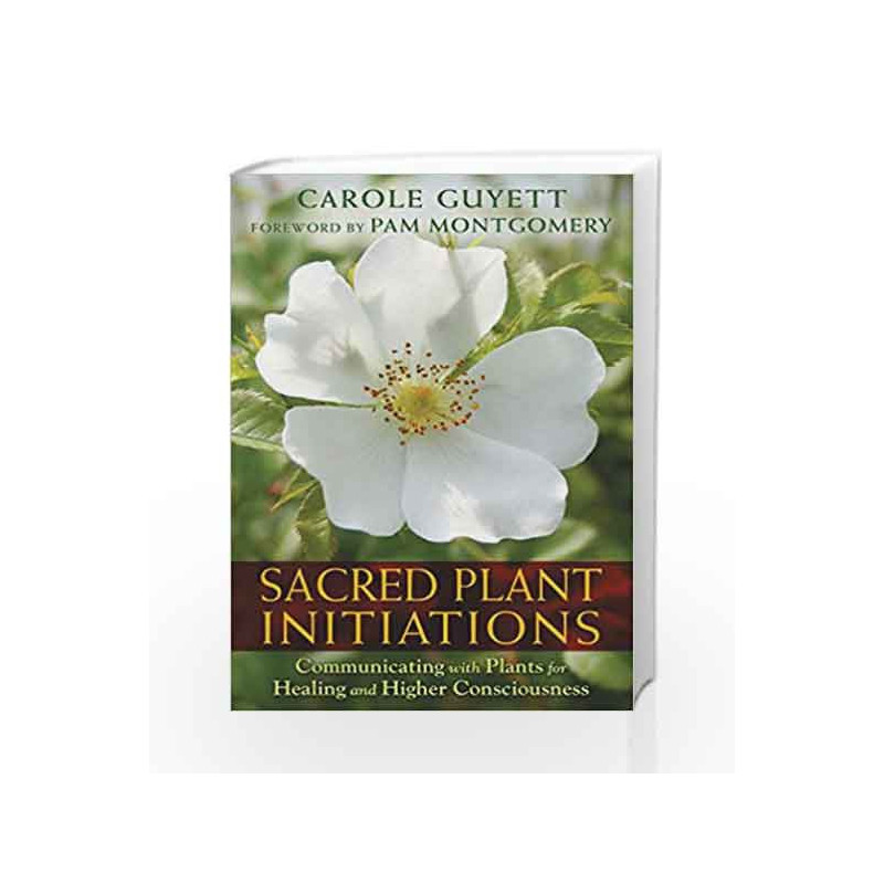 Sacred Plant Initiations by Carole Guyett Book-9781591432135