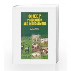 Sheep Production and Management by Gupta J.L. Book-9788123913414