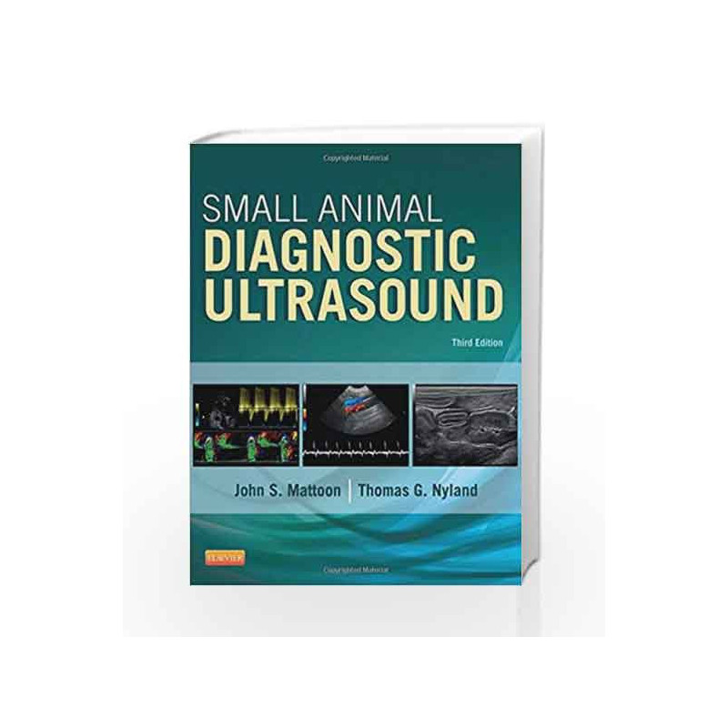 Small Animal Diagnostic Ultrasound by Mattoon J S Book-9781416048671