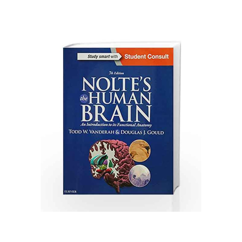 Nolte's The Human Brain: An Introduction to its Functional Anatomy by Vanderah T W Book-9781455728596