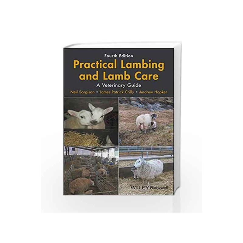 Practical Lambing and Lamb Care: A Veterinary Guide by Sargison Book-9781119140665